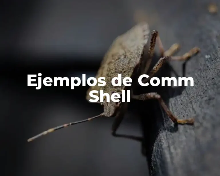 Ejemplos de Comm Shell