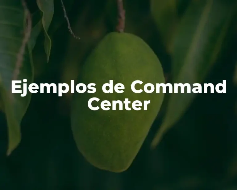 Ejemplos de Command Center