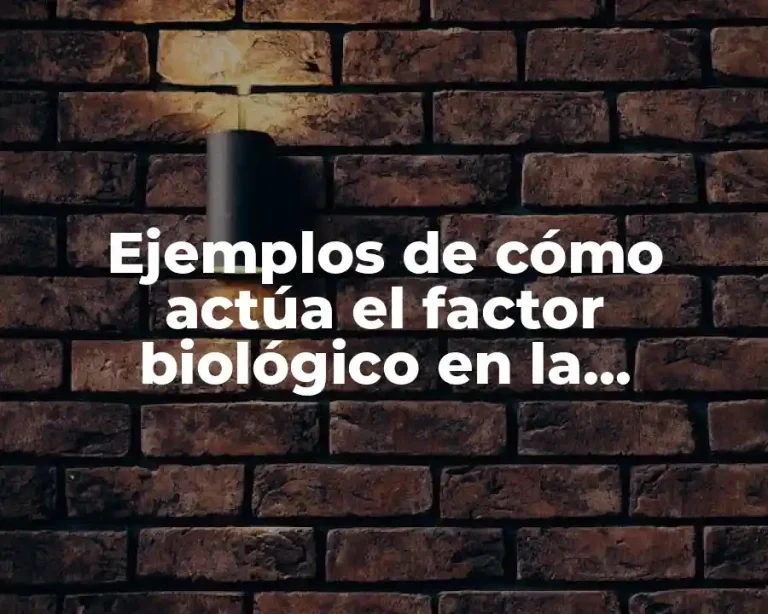 Ejemplos de cómo actúa el factor biológico en la personalidad