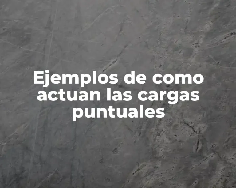 Ejemplos de como actuan las cargas puntuales