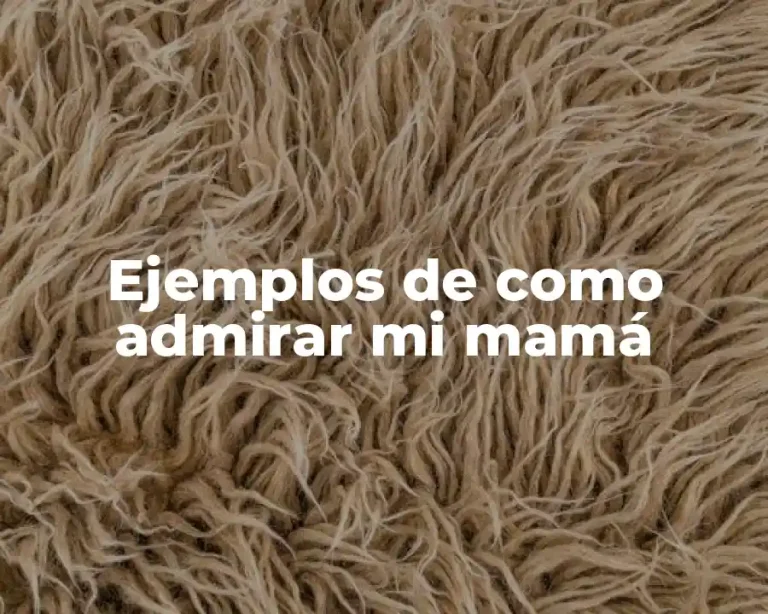 Ejemplos de como admirar mi mamá