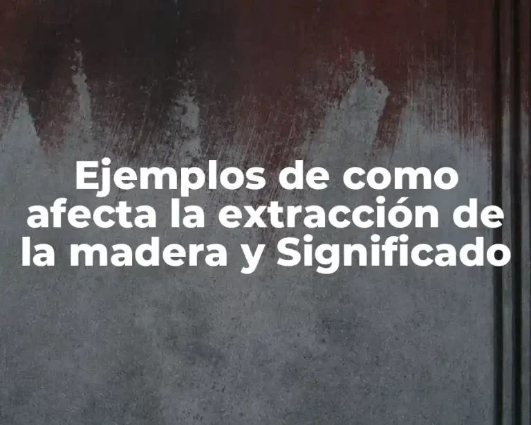 Ejemplos de como afecta la extracción de la madera y Significado