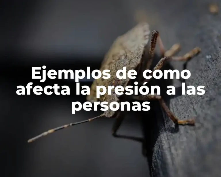 Ejemplos de como afecta la presión a las personas