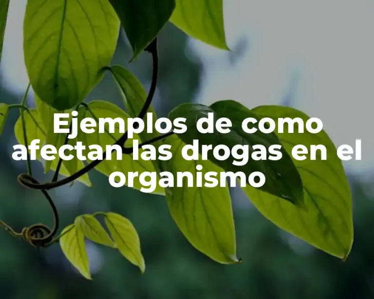 Ejemplos de como afectan las drogas en el organismo