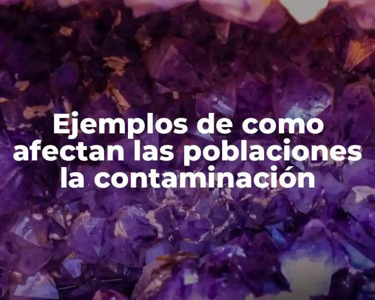 Ejemplos de como afectan las poblaciones la contaminación