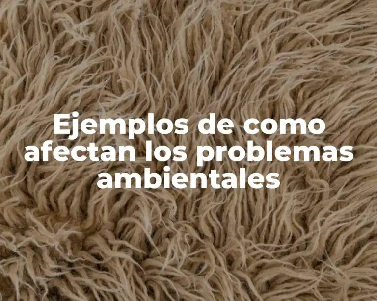 Ejemplos de como afectan los problemas ambientales