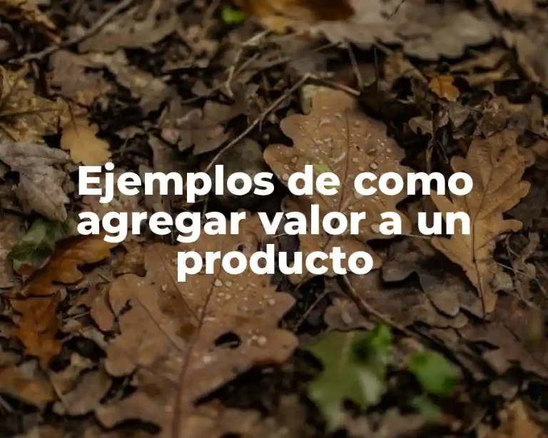 Ejemplos de como agregar valor a un producto