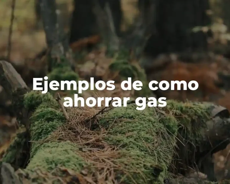 Ejemplos de como ahorrar gas