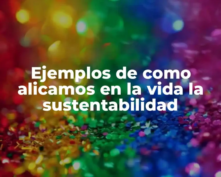 Ejemplos de como alicamos en la vida la sustentabilidad