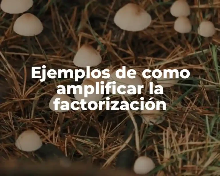 Ejemplos de como amplificar la factorización
