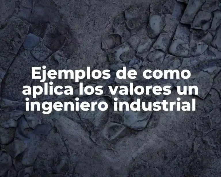 Ejemplos de como aplica los valores un ingeniero industrial