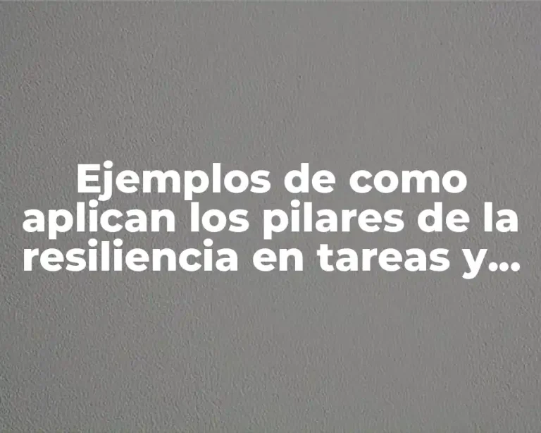 Ejemplos de como aplican los pilares de la resiliencia en tareas y Significado