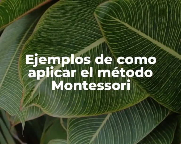Ejemplos de como aplicar el método Montessori