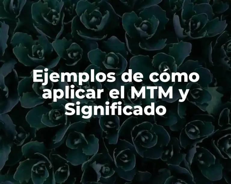 Ejemplos de cómo aplicar el MTM y Significado