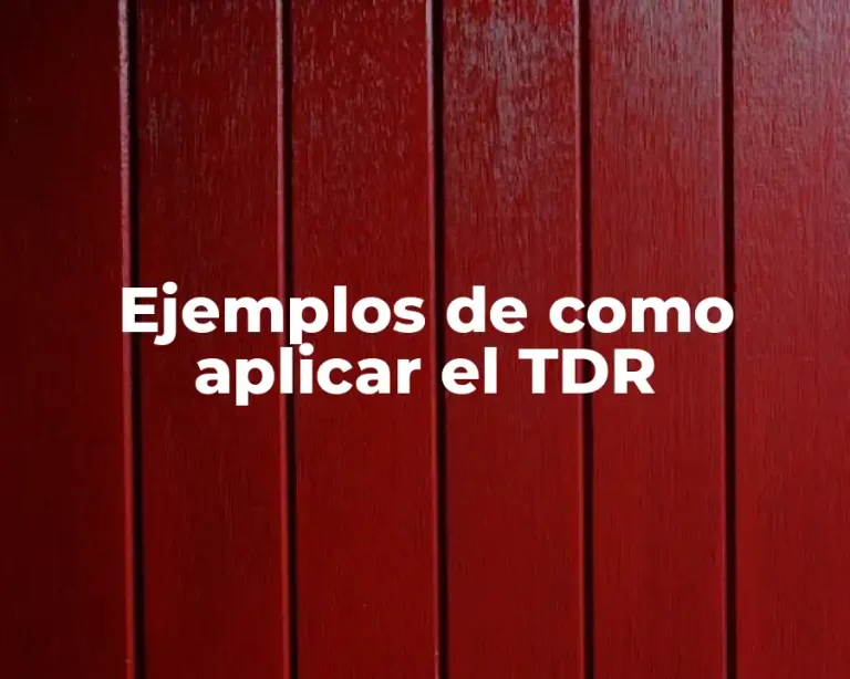Ejemplos de como aplicar el TDR