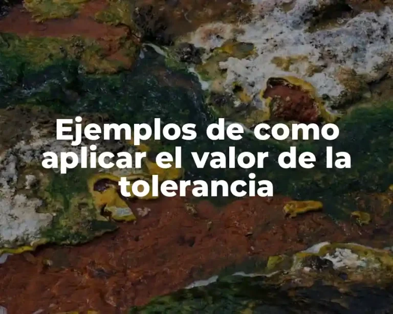 Ejemplos de como aplicar el valor de la tolerancia