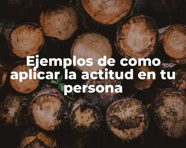 Ejemplos de como aplicar la actitud en tu persona