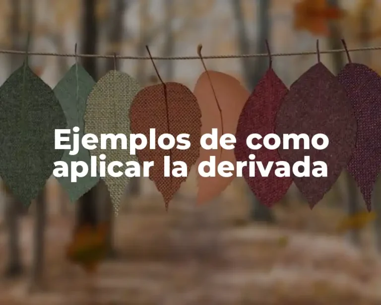 Ejemplos de como aplicar la derivada