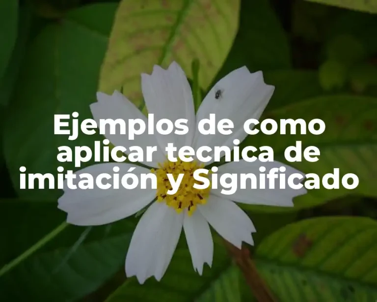 Ejemplos de como aplicar tecnica de imitación y Significado