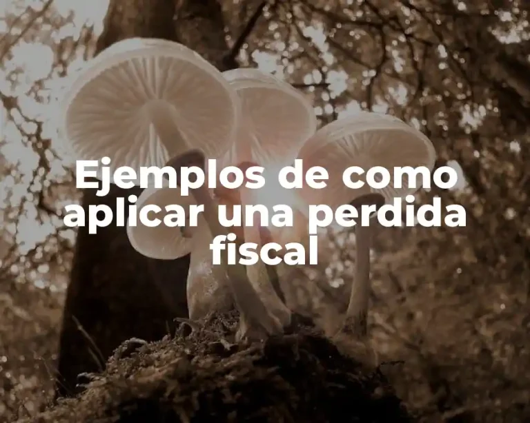 Ejemplos de como aplicar una perdida fiscal