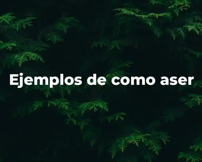 Ejemplos de como aser