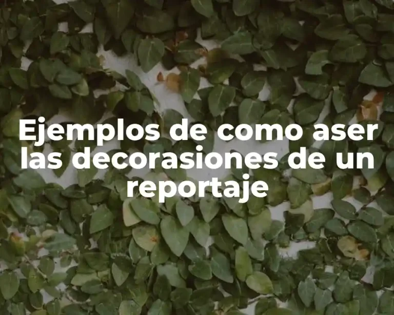 Ejemplos de como aser las decorasiones de un reportaje