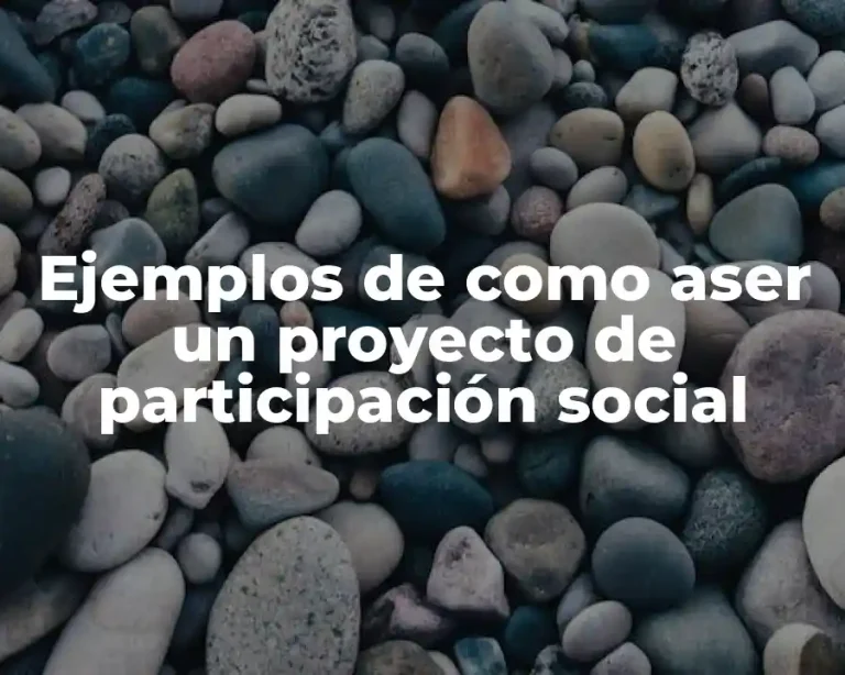 Ejemplos de como aser un proyecto de participación social