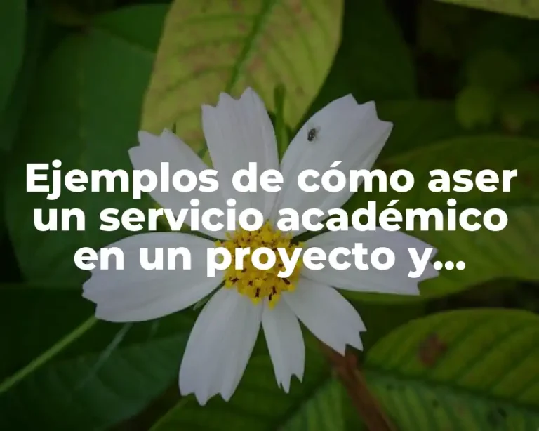 Ejemplos de cómo aser un servicio académico en un proyecto y Significado