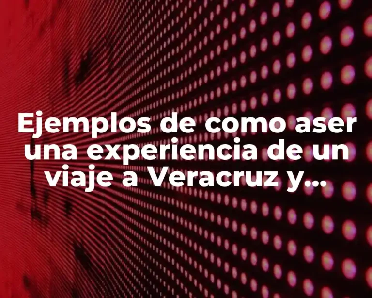 Ejemplos de como aser una experiencia de un viaje a Veracruz y Significado
