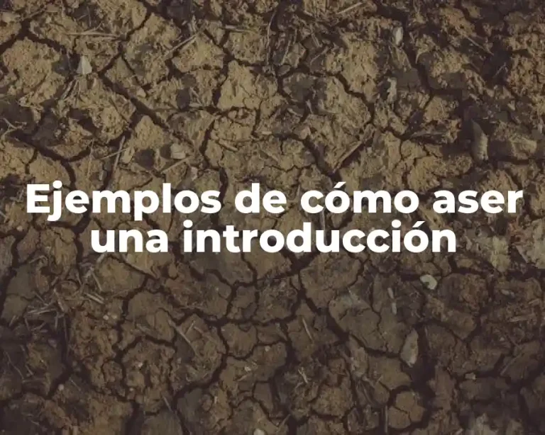 Ejemplos de cómo aser una introducción