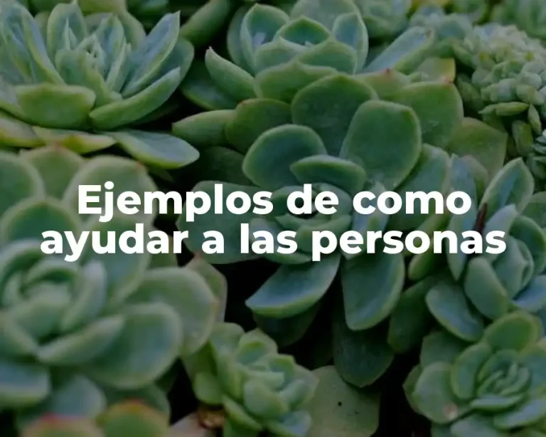 Ejemplos de como ayudar a las personas