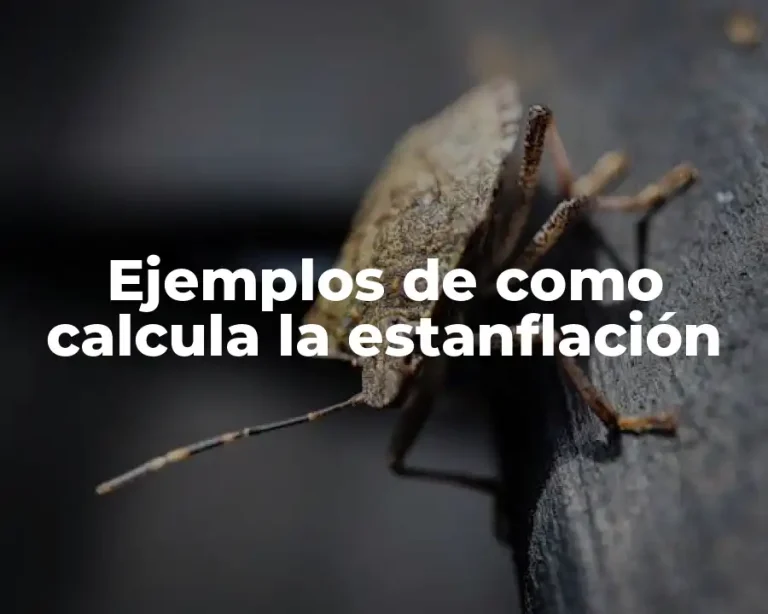 Ejemplos de como calcula la estanflación