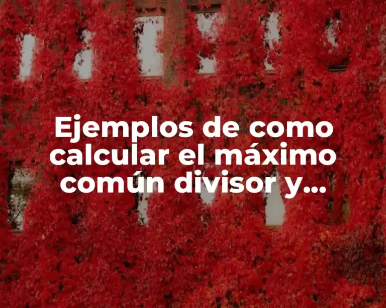 Ejemplos de como calcular el máximo común divisor y Significado