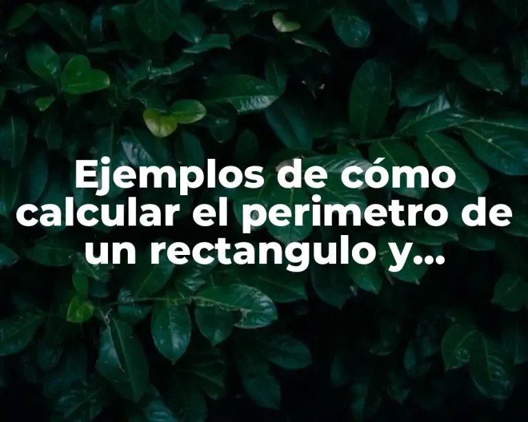 Ejemplos de cómo calcular el perimetro de un rectangulo y Significado