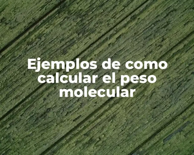 Ejemplos de como calcular el peso molecular