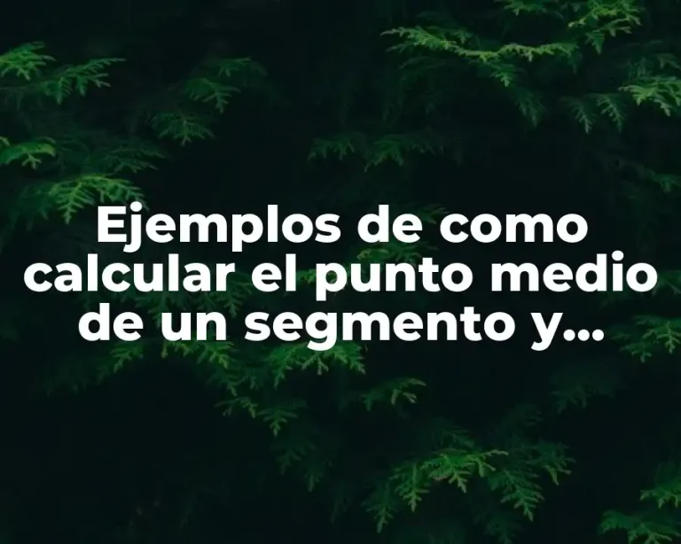 Ejemplos de como calcular el punto medio de un segmento y Significado
