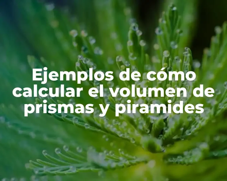 Ejemplos de cómo calcular el volumen de prismas y piramides