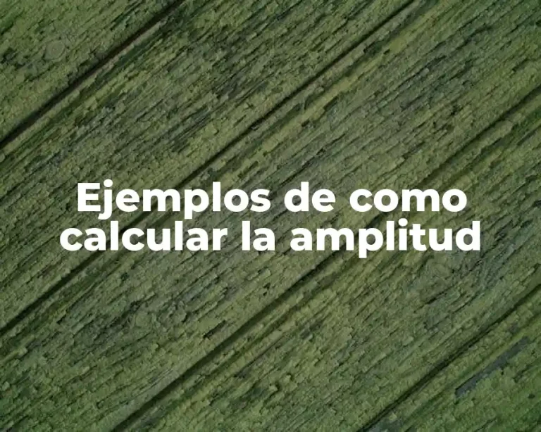 Ejemplos de como calcular la amplitud