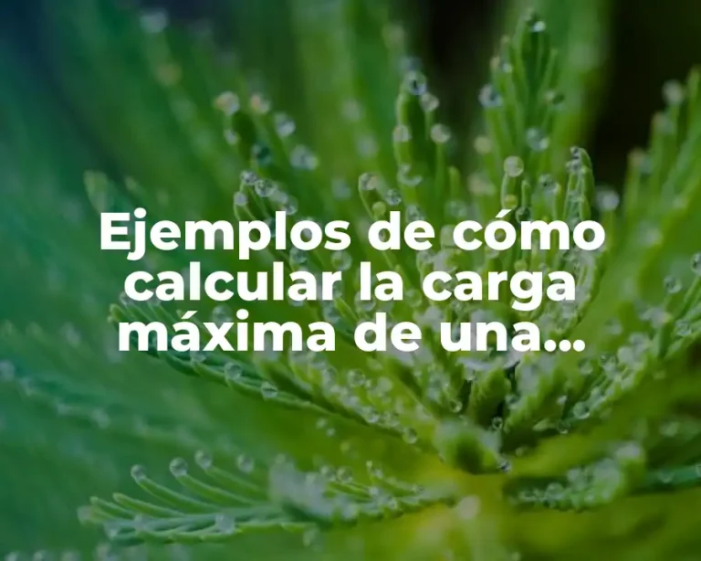 Ejemplos de cómo calcular la carga máxima de una armadura