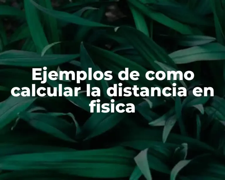Ejemplos de como calcular la distancia en fisica
