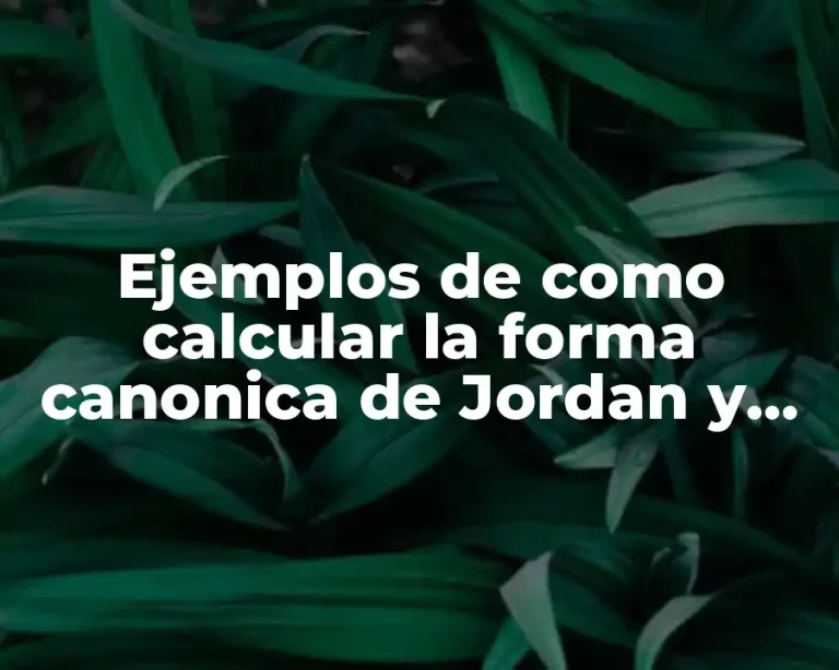 Ejemplos de como calcular la forma canonica de Jordan y Significado