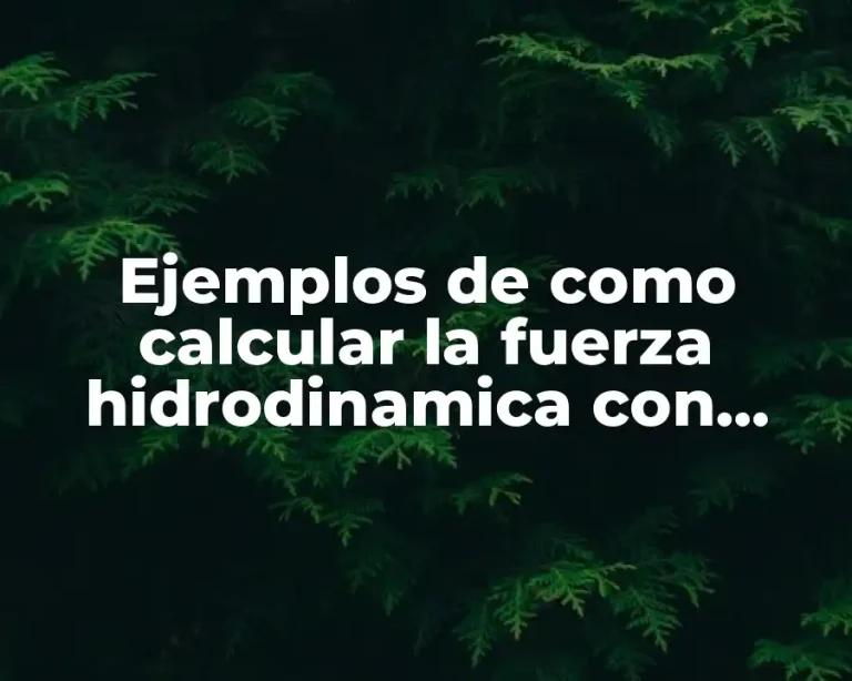 Ejemplos de como calcular la fuerza hidrodinamica con converciones faciles