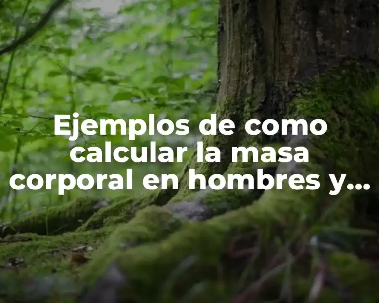 Ejemplos de como calcular la masa corporal en hombres y Significado