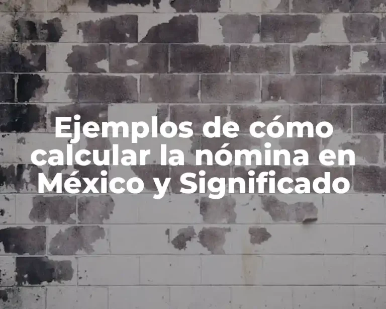 Ejemplos de cómo calcular la nómina en México y Significado