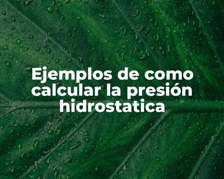 Ejemplos de como calcular la presión hidrostatica