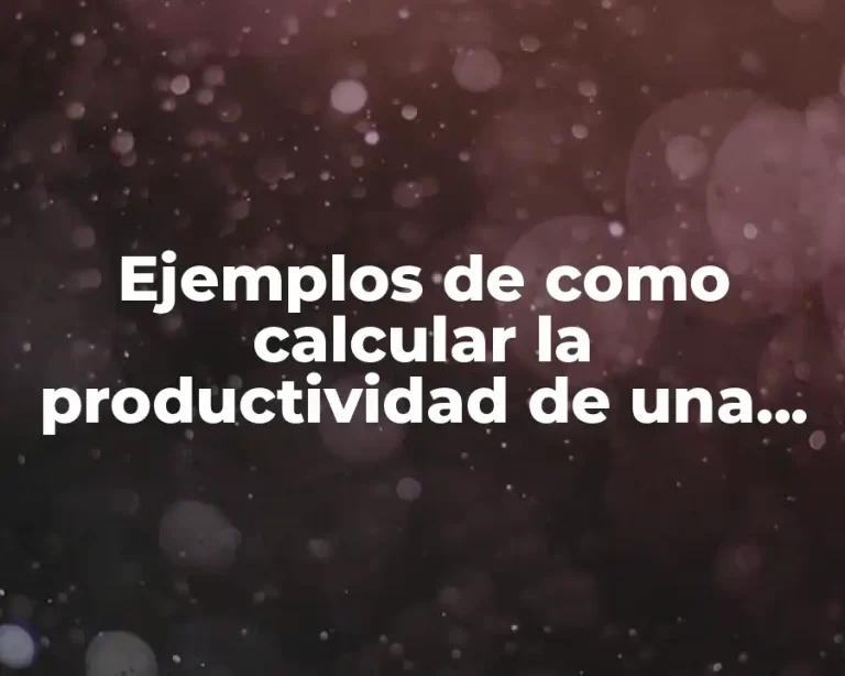 Ejemplos de como calcular la productividad de una empresa