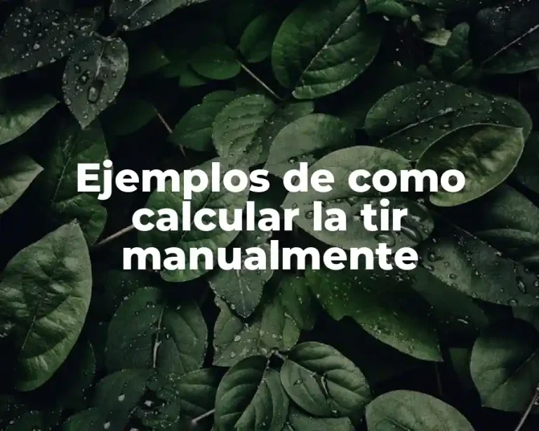Ejemplos de como calcular la tir manualmente