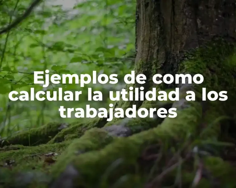 Ejemplos de como calcular la utilidad a los trabajadores