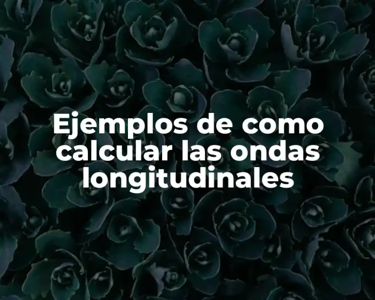Ejemplos de como calcular las ondas longitudinales
