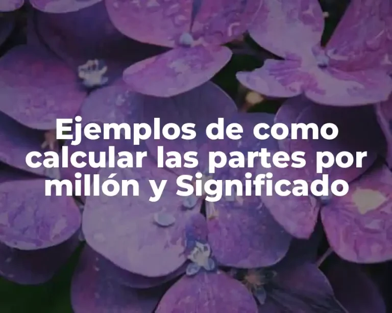 Ejemplos de como calcular las partes por millón y Significado